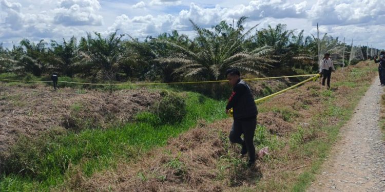 Usut Tuntas Perambahan HGU di Mesuji