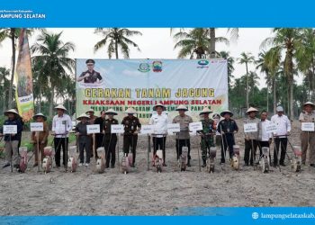 Bupati dan Kajati Tanam Jagung Bersama untuk Ketahanan Pangan dan Kesejahteraan Petani