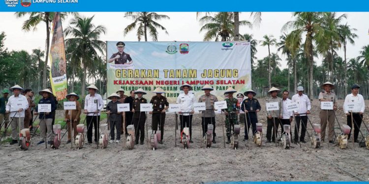 Bupati dan Kajati Tanam Jagung Bersama untuk Ketahanan Pangan dan Kesejahteraan Petani