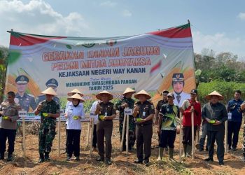 Kejari Way Kanan Dorong Gerakan Tanam Jagung Petani Mitra bersama Kajati Lampung
