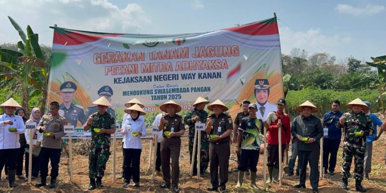 Kejari Way Kanan Dorong Gerakan Tanam Jagung Petani Mitra bersama Kajati Lampung