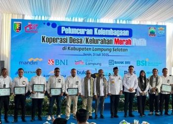 Koperasi Merah Putih Solusi Ekonomi Alternatif di Desa