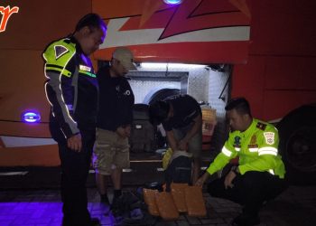 Warga Medan Dibekuk Sat PJR Polda Lampung Bawa 4 Kg Ganja dalam Bagasi Bus