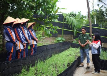 Perkuat Ketahanan Pangan dan Pemberdayaan Perempuan di Area Ulubelu Melalui Program Hortikultura