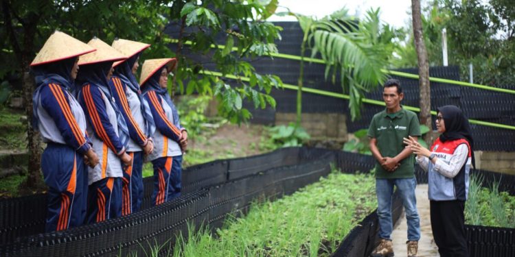 Perkuat Ketahanan Pangan dan Pemberdayaan Perempuan di Area Ulubelu Melalui Program Hortikultura