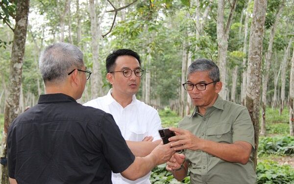 Strategi PTPN I Menghadapi Kenaikan Harga Karet Global