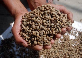 Lampung Didorong Aktif Eksplorasi Peluang Pasar Komoditas Unggulan