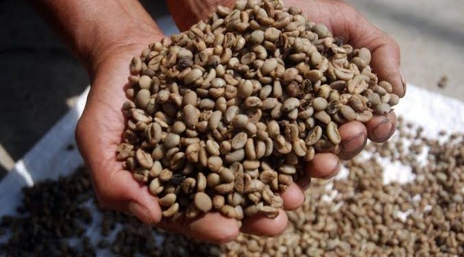 Lampung Didorong Aktif Eksplorasi Peluang Pasar Komoditas Unggulan