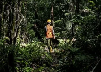 Pendanaan Hijau untuk Perhutanan Sosial di Lampung sebagai Contoh Nasional