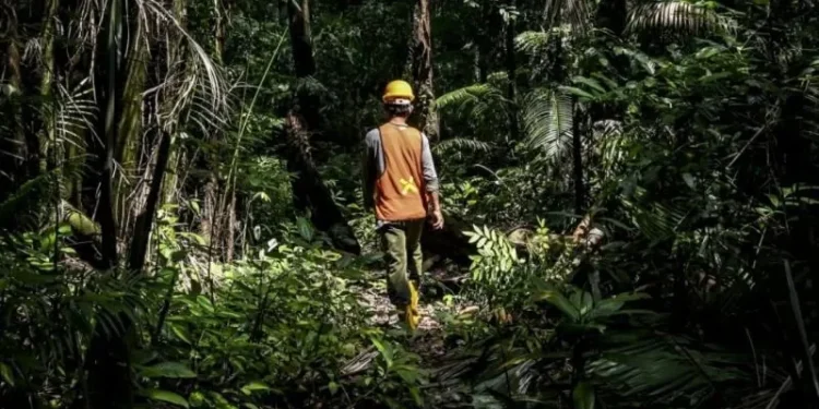 Pendanaan Hijau untuk Perhutanan Sosial di Lampung sebagai Contoh Nasional