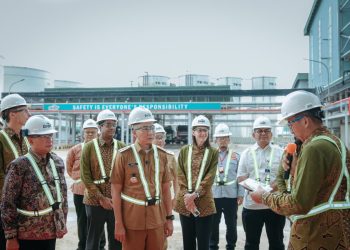 Kolaborasi untuk Mewujudkan Industri Sawit yang Berkelanjutan