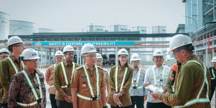 Kolaborasi untuk Mewujudkan Industri Sawit yang Berkelanjutan