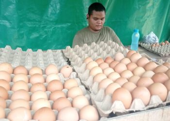 Warga dan Pedagang Tertekan Karena Kenaikan Harga Telur