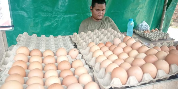 Warga dan Pedagang Tertekan Karena Kenaikan Harga Telur