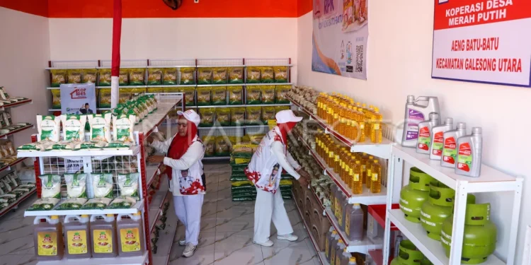 KDMP Siap Tingkatkan Ekonomi Desa Lampung, Berikut Cara Kerjanya