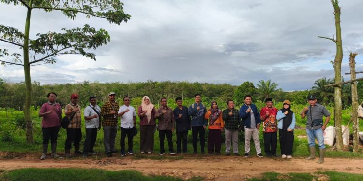 Survei Kementan di PTPN I untuk Persiapan Klaster Produksi Daging dan Telur Nasional