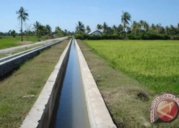 Perkuat Kesiapsiagaan Antisipasi Banjir oleh BBWS Mesuji Sekampung