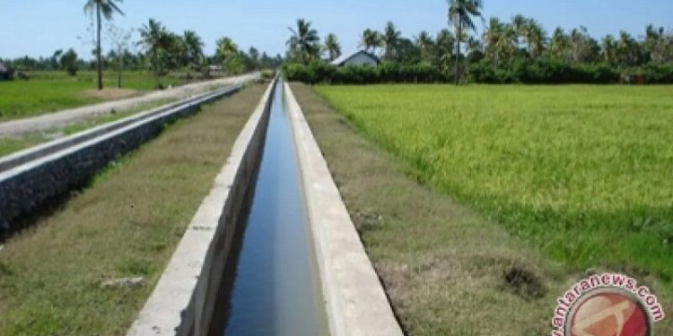 Perkuat Kesiapsiagaan Antisipasi Banjir oleh BBWS Mesuji Sekampung