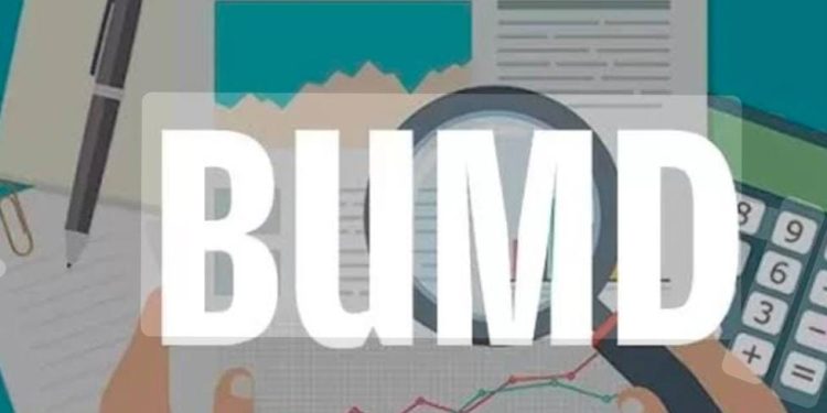 BUMD Lampung Perlu Mandiri dan Kembangkan Potensi Keuntungannya