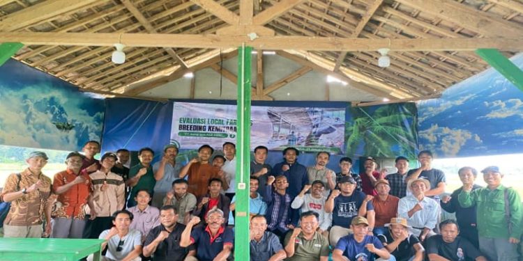 Pembinaan Peternak Sapi Lokal untuk Memperkuat Ketahanan Pangan