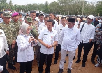 Lampung Sebagai Pusat Hilirisasi Ayam di Indonesia