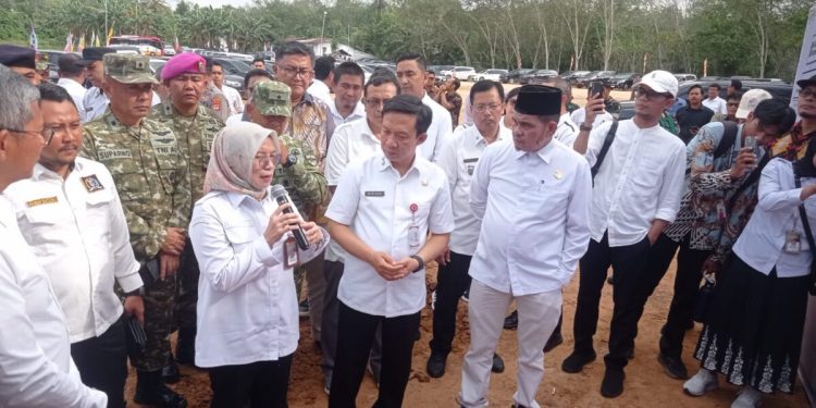 Lampung Sebagai Pusat Hilirisasi Ayam di Indonesia